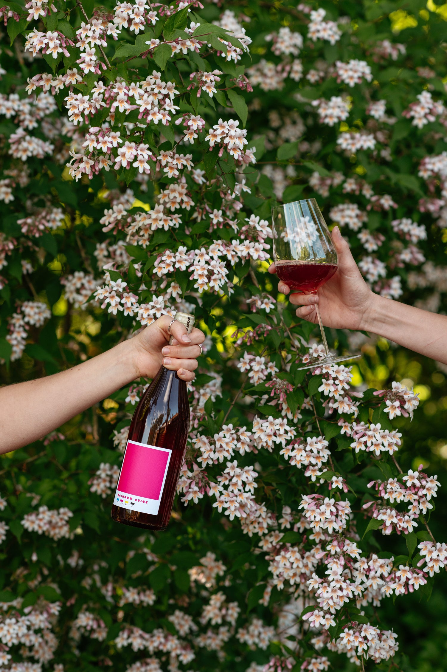 Two people holding a bottle and a glass of rosé wine against a floral background