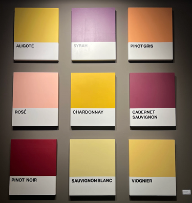 a wall of 9 pieces of art that look like pantones but are wine varietals. 