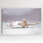 "Penelope Paper Print" 24 x 36 by Anna Sweet - Artist Block Wine